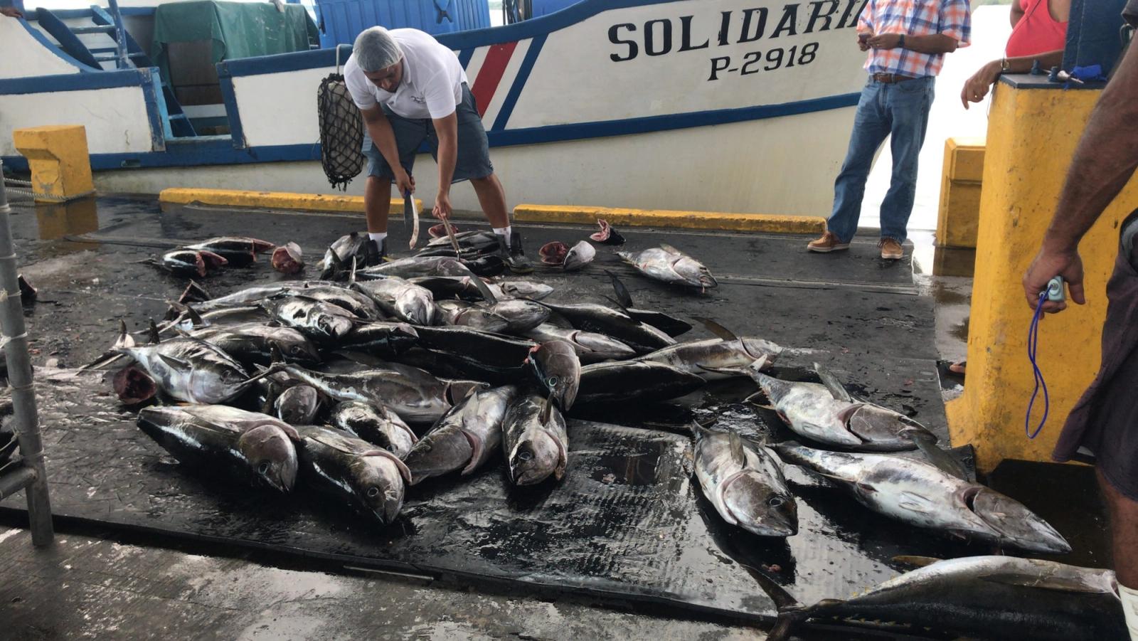 Costa Rica impulsa directrices de la FAO para hacer sostenible la pesca artesanal