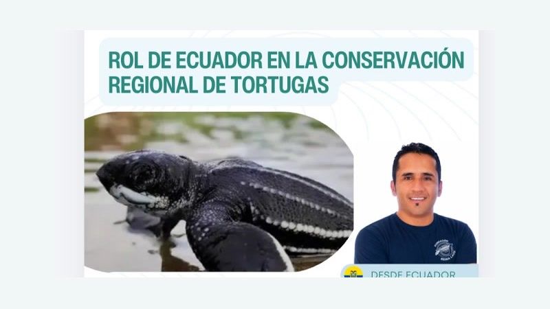 Portada del programa 365 de Azul Sostenible: Rol de Ecuador en la conservación regional de tortugas marinas