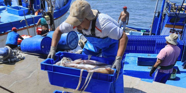 Ecuador propone mejoras para una pesca más sostenible en el Pacífico Sur