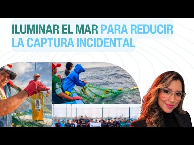 Portada original del Programa #377 de Azul Sostenible: Iluminar el mar para reducir la captura incidental
