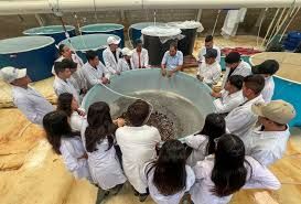 Educación y sostenibilidad: el nuevo horizonte para la pesca y la acuicultura en Ecuador