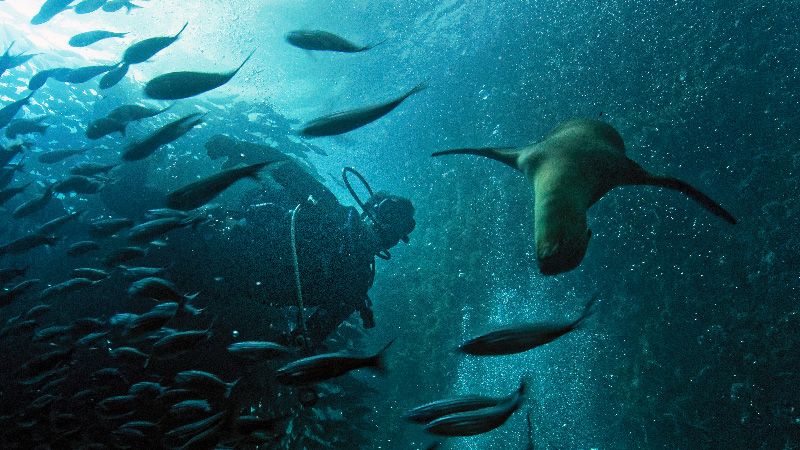 Plan de manejo de la Reserva Hermandad: retos y expectativas en Galápagos