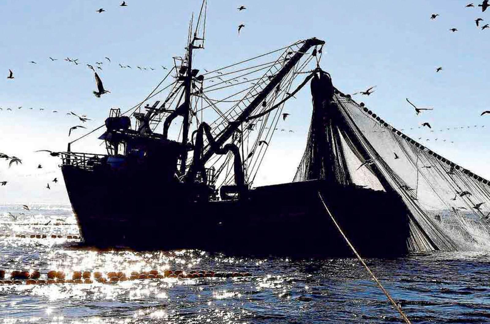 Trazabilidad: el camino transparente para frenar la pesca ilegal