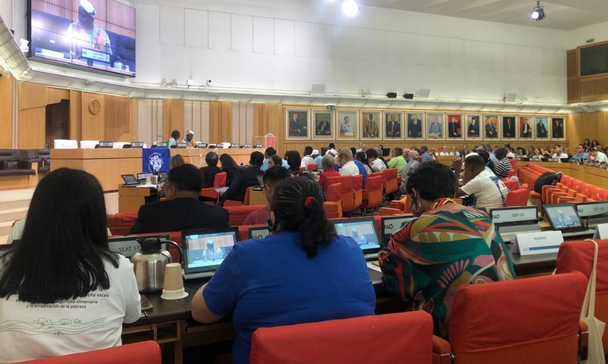 COFI 35: Nuevas reglas globales para frenar la pesca ilegal y proteger a los pescadores