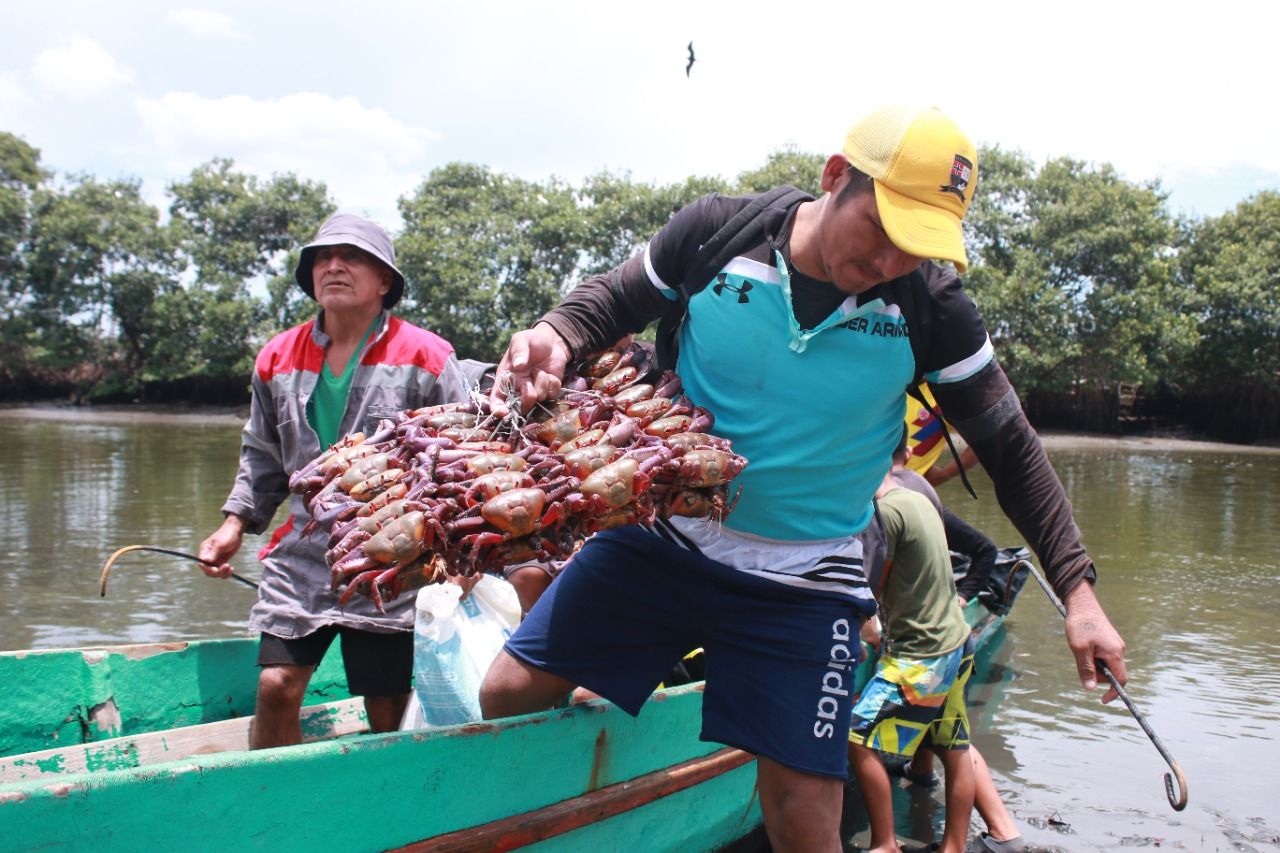 Cangrejeros ecuatorianos: guardianes del manglar y defensores de una tradición
