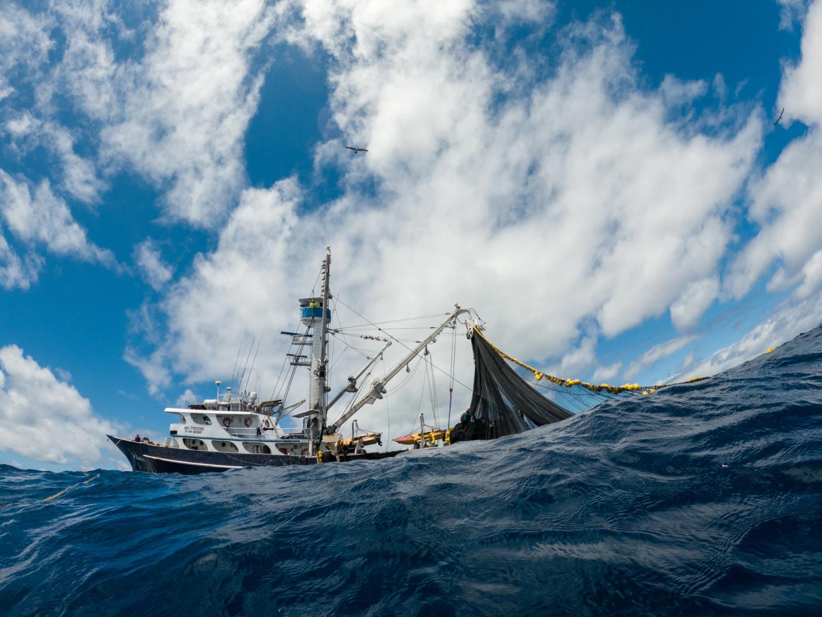 Certificación MSC: Ecuador alcanza un hito histórico para la pesca sostenible