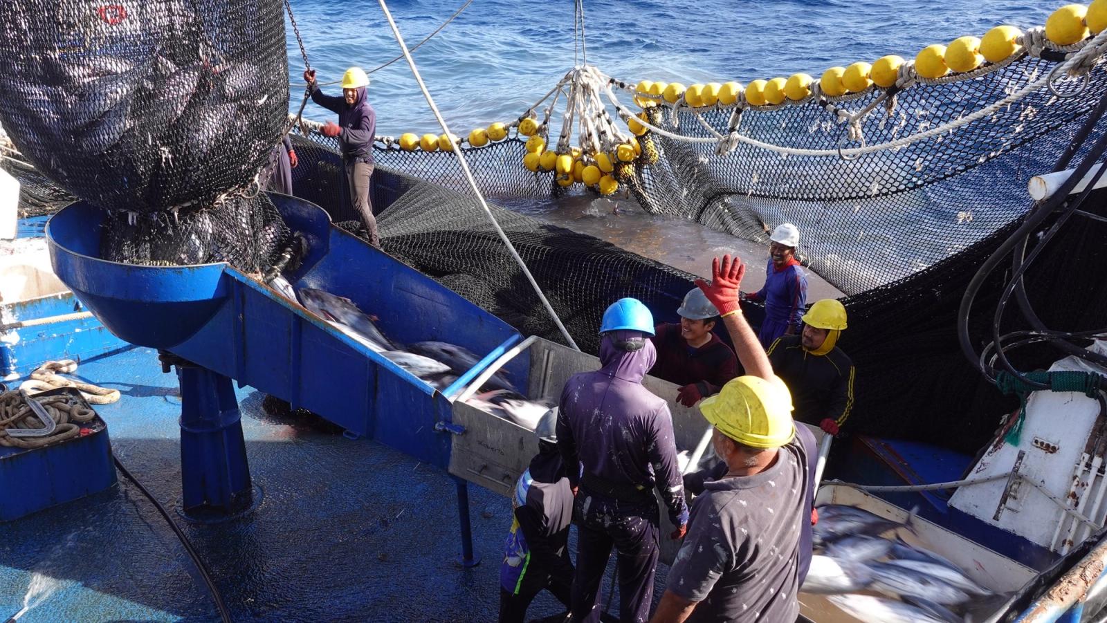 Tunacons impulsa la economía azul en Ecuador con visión sostenible