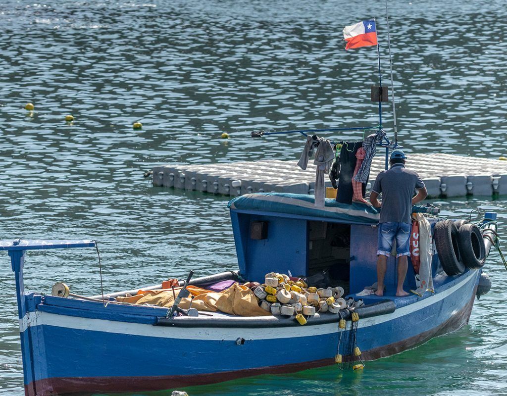 El Jurel Chileno en la mira global: Pescadores artesanales Luchan por una cuota justa