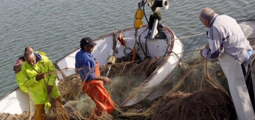 Chile recibe el Summit Latinoamericano para impulsar la “nueva pesca” sostenible