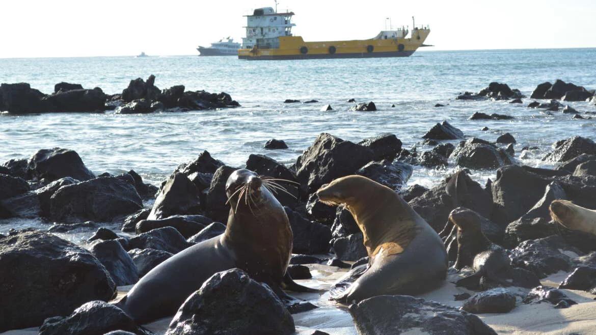 Galápagos exige atención: entre la conservación y el olvido institucional