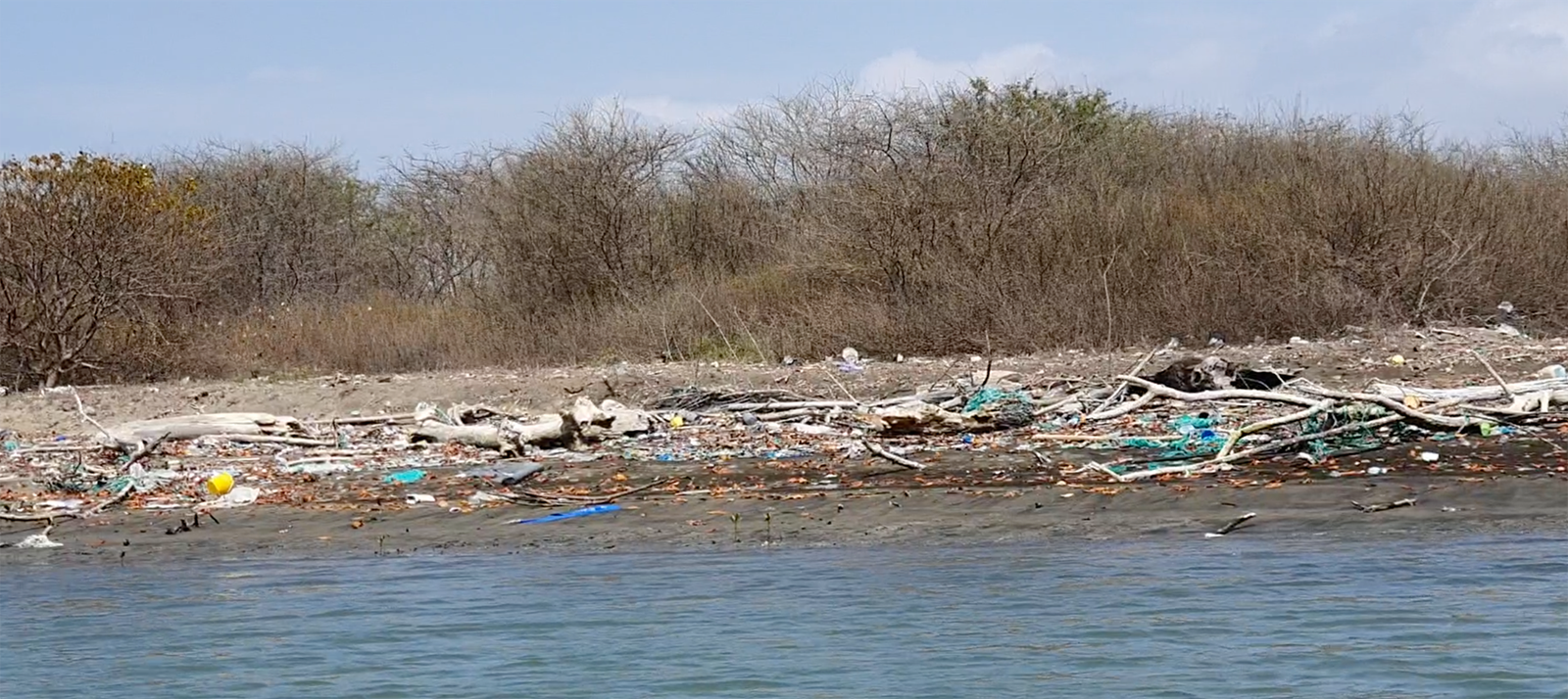 Golfo de Guayaquil en crisis: la basura y la tala de manglares amenazan su futuro