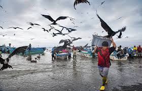 Debate sobre la Ley de Incentivos para la Pesca Artesanal en Ecuador