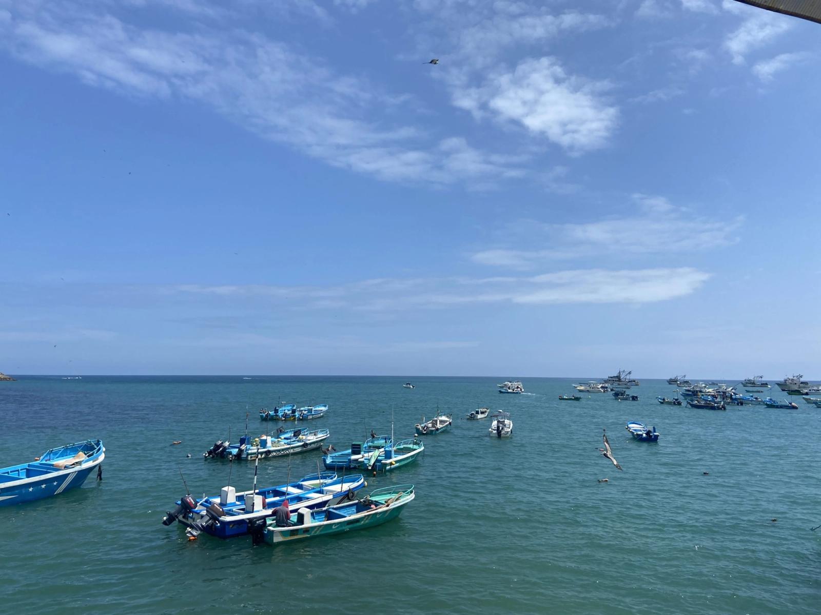 Zona exclusiva para la pesca artesanal: la Asamblea frena la reforma y mantiene la protección de las 8 millas