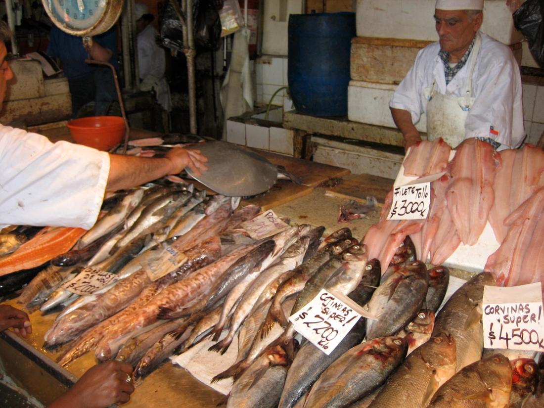 Mostrador con pescados enteros y filetes en un mercado de Chile.