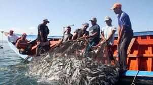 La alianza que une a pescadores artesanales e industriales en América Latina