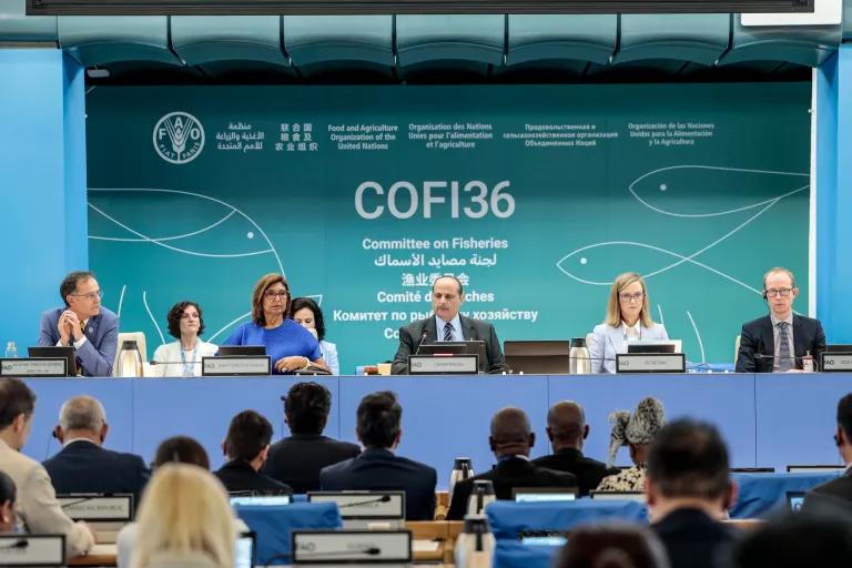 COFI 2024: Decisiones globales para el futuro de la pesca y la acuicultura