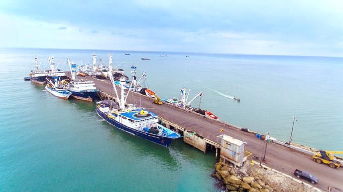 Pesca y acuacultura en Ecuador: el gigante económico que exige atención política urgente