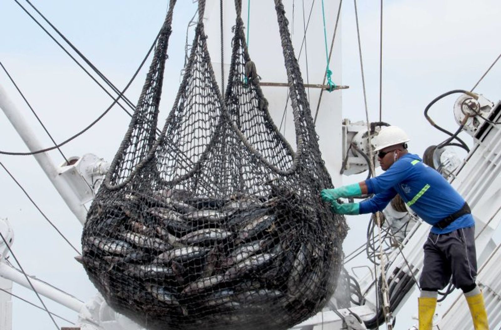 Trazabilidad: la huella que garantiza una pesca sostenible