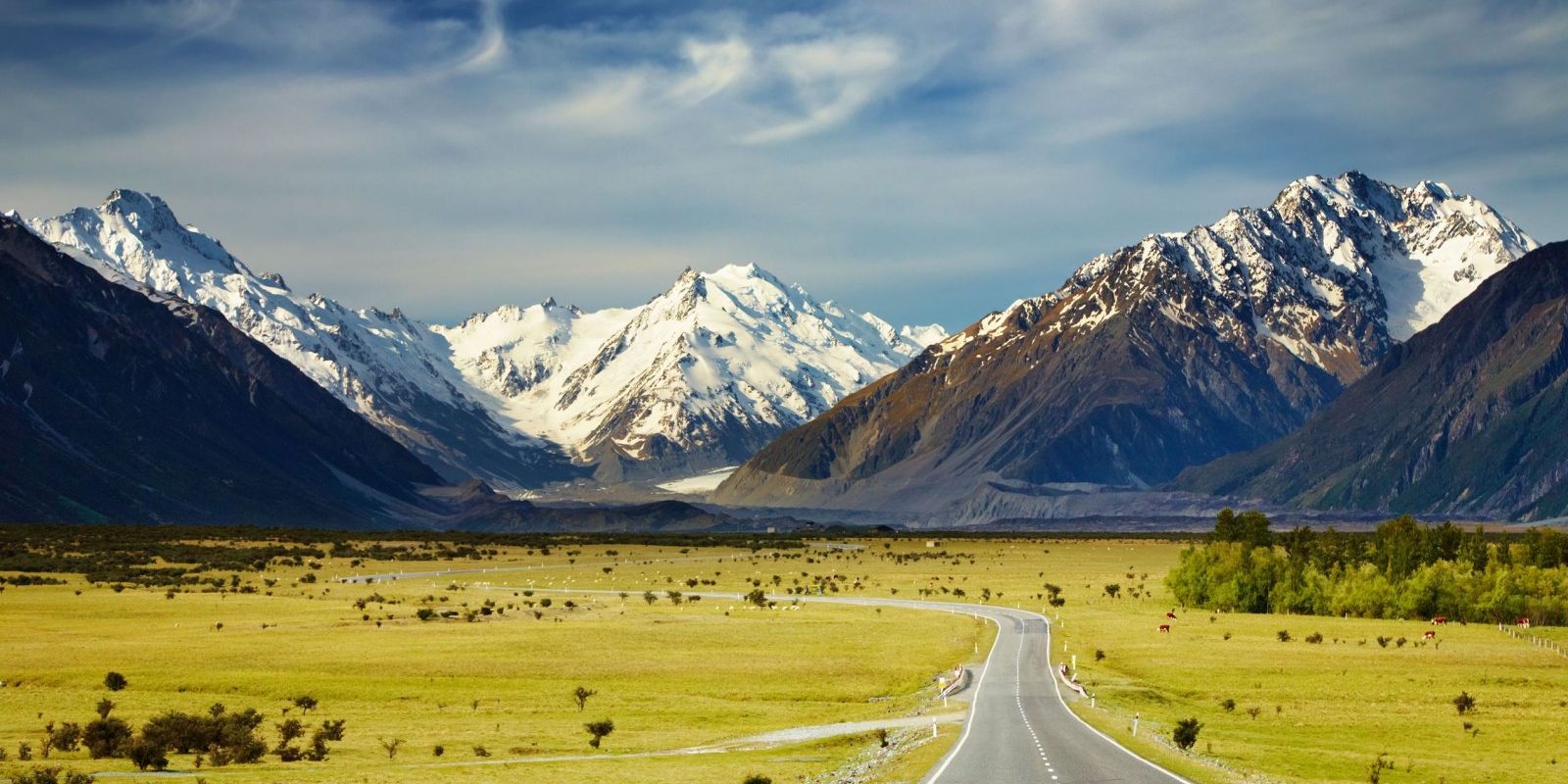 6 Reasons You Should Visit New Zealand