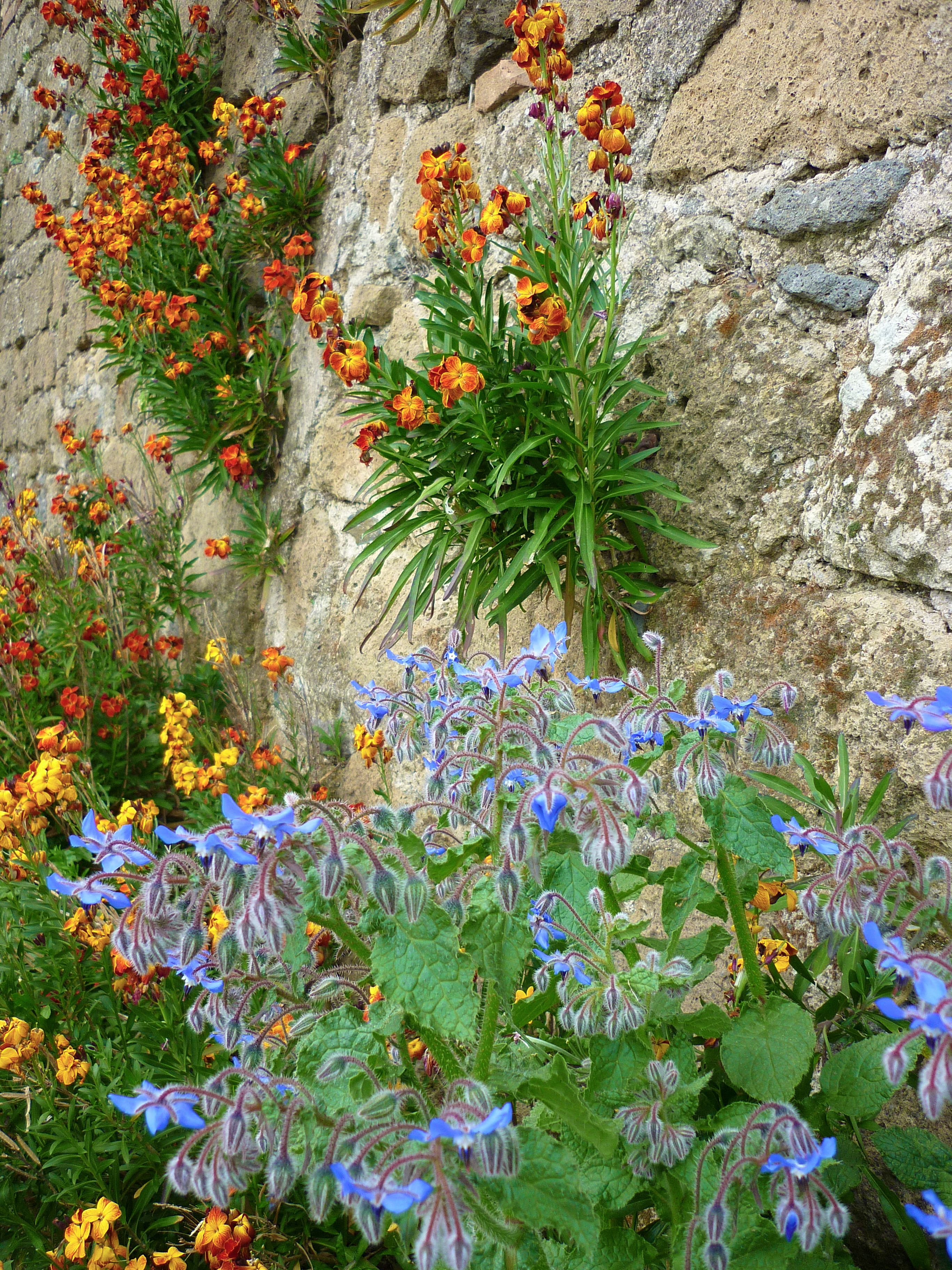 Pitigliano, Italy photo 1