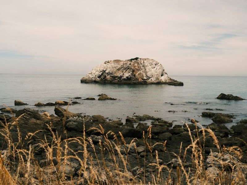 Kaikoura, New Zealand