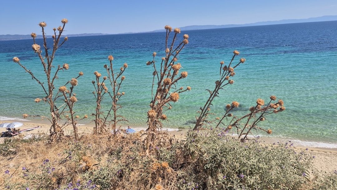 Greece Wildfires Trigger Tourist Evacuations