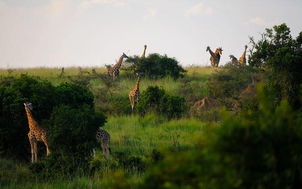 6 Reasons Why You’ve Not Visited Africa