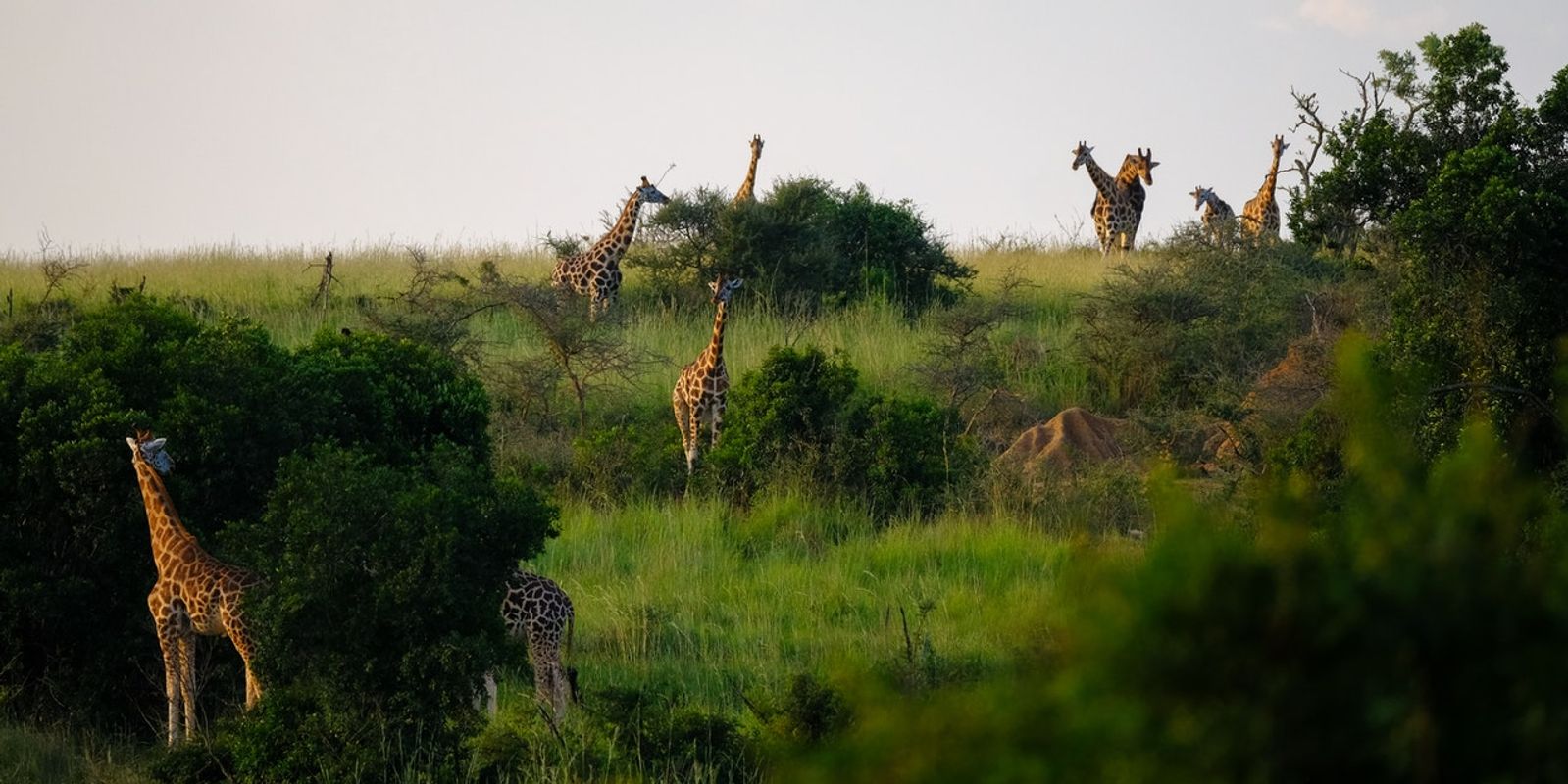 6 Reasons Why You’ve Not Visited Africa