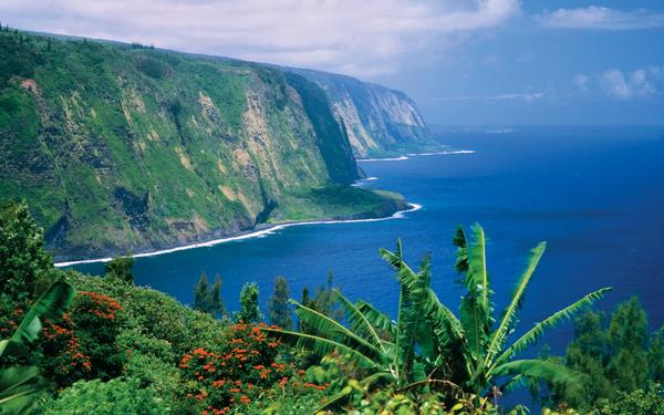  Activities you HAVE to do in Hawaii!