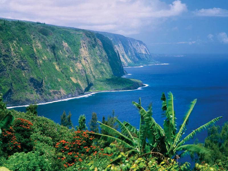  Activities you HAVE to do in Hawaii!