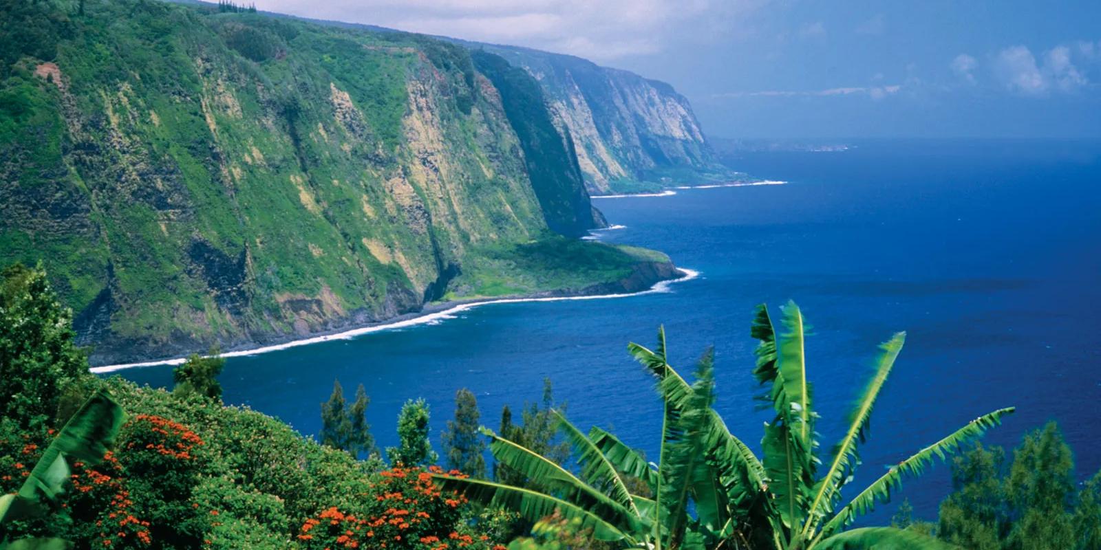  Activities you HAVE to do in Hawaii!