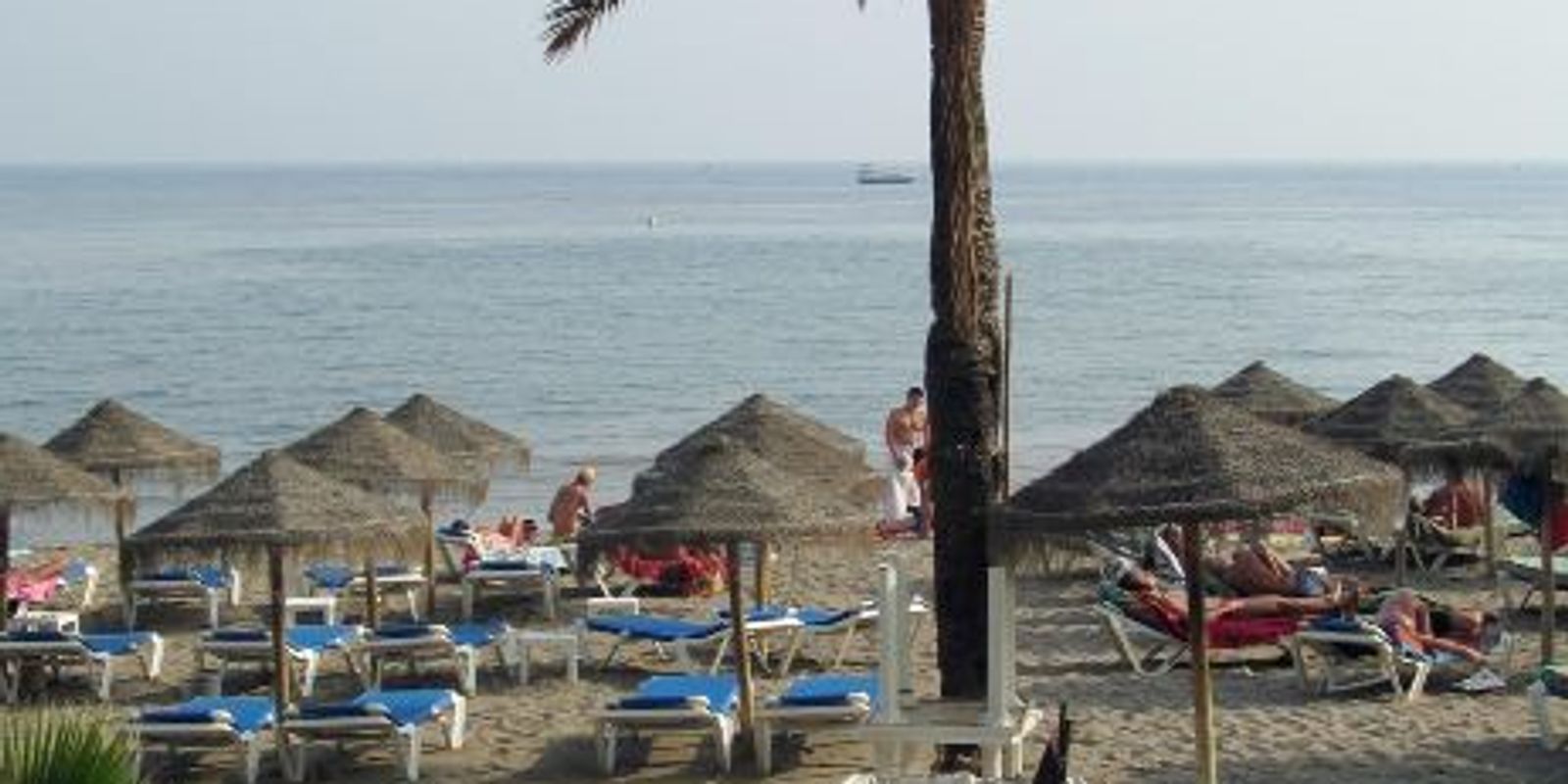 What To Do Guide for Marbella