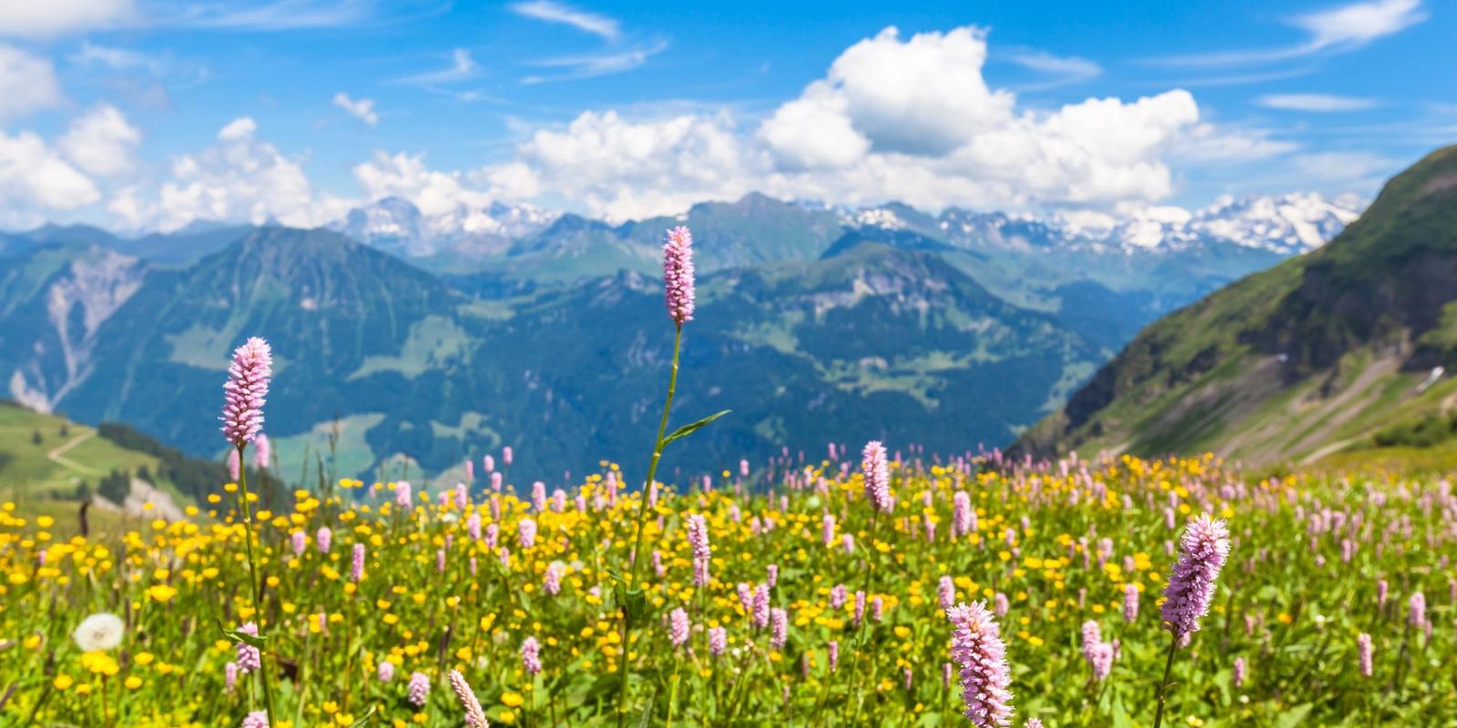 Exploring the Beauty of Bernese Oberland: A Swiss Travel Guide