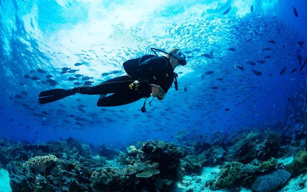 Things to Consider When Taking a Divemaster Internship