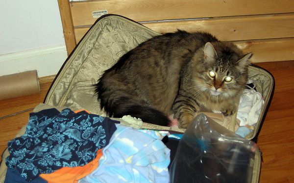 The What Not To Forget Essential Holiday Packing Guide