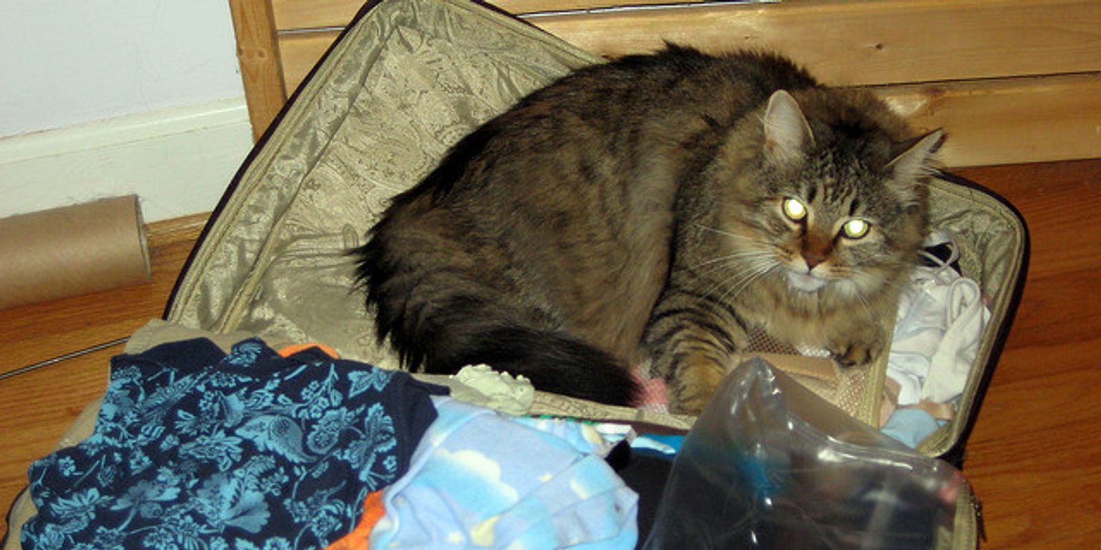 The What Not To Forget Essential Holiday Packing Guide