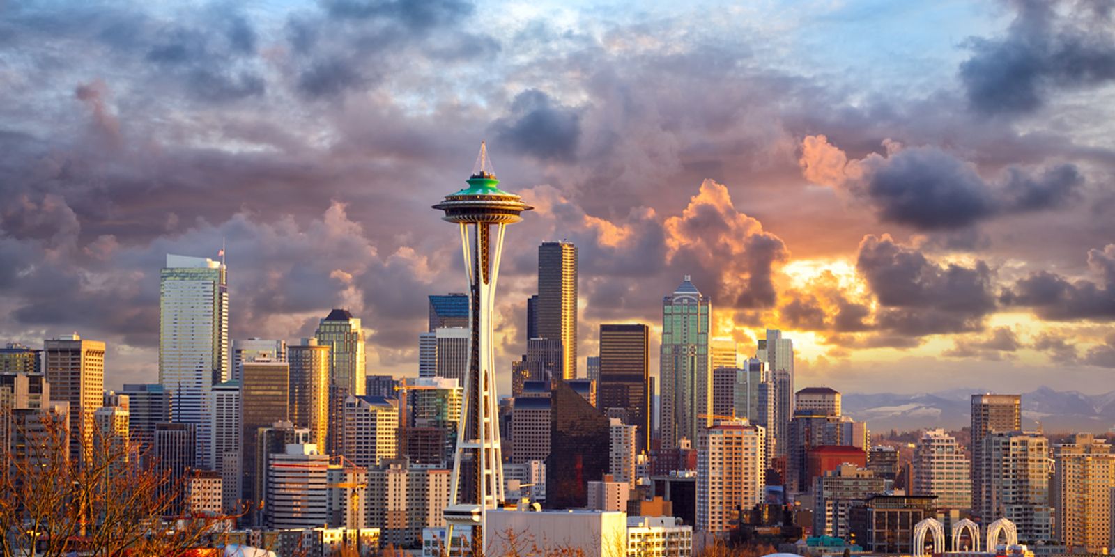 Trips Just Beyond the Seattle Area: Washington, Bainbridge Island, and Beyond