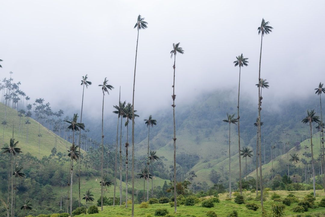Salento, Colombia
