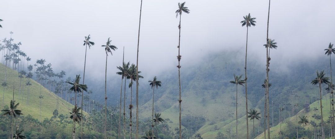 Salento, Colombia