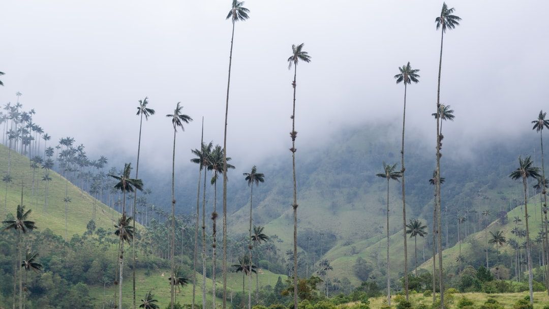Salento, Colombia