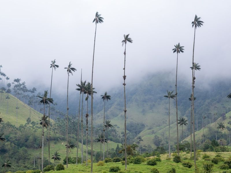 Salento, Colombia