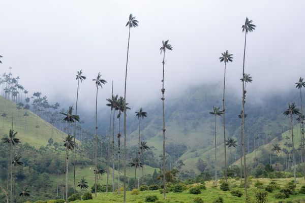 Salento, Colombia