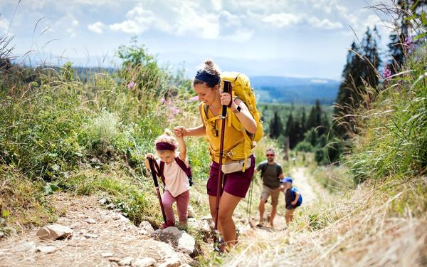 Basic Tips when Organizing a Family Trip