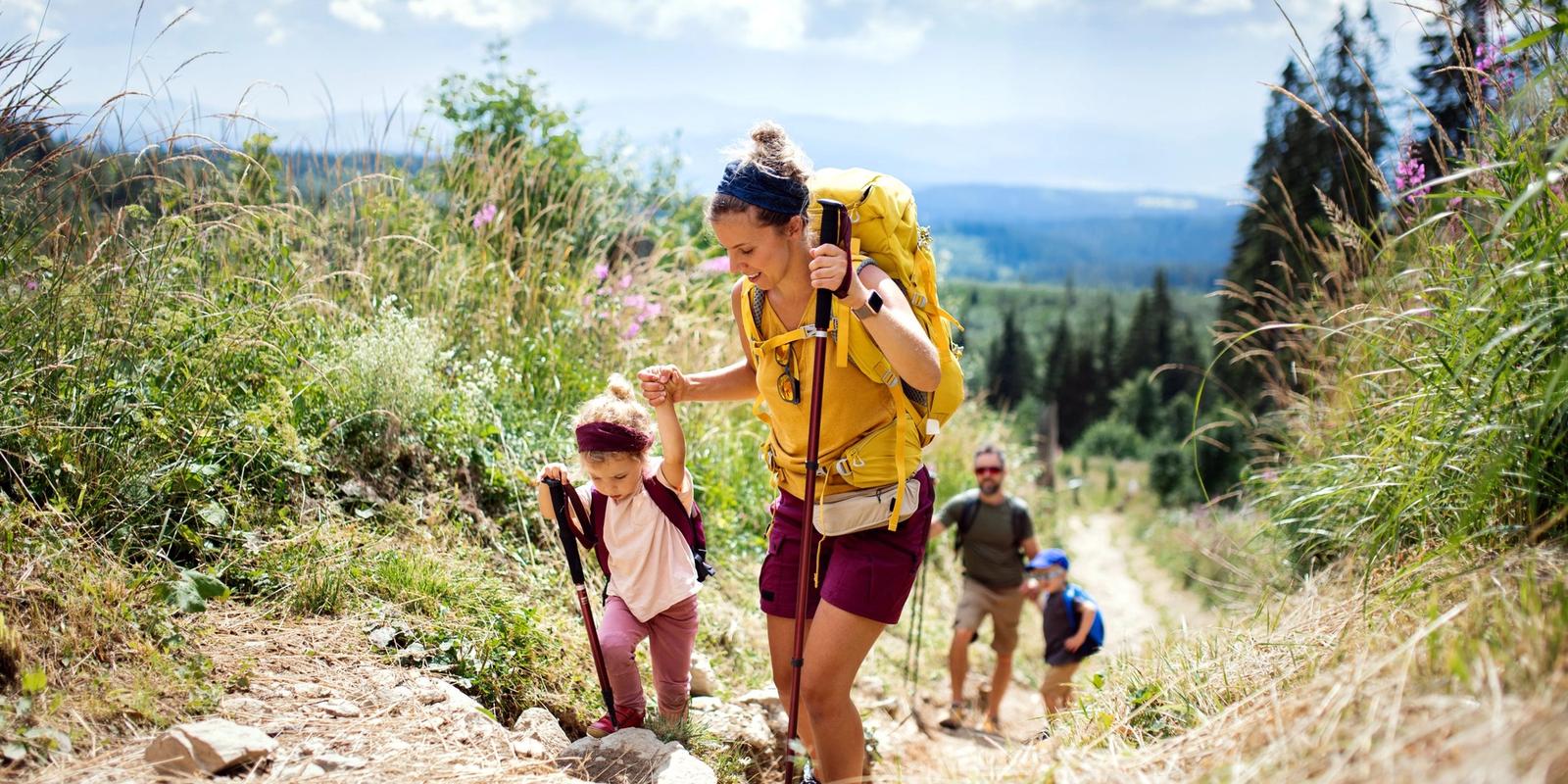 Basic Tips when Organizing a Family Trip
