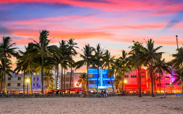 <strong>The Top 5 Offbeat Things To Do in Miami</strong>