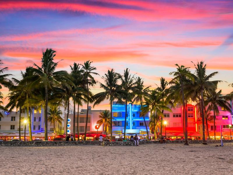 <strong>The Top 5 Offbeat Things To Do in Miami</strong>