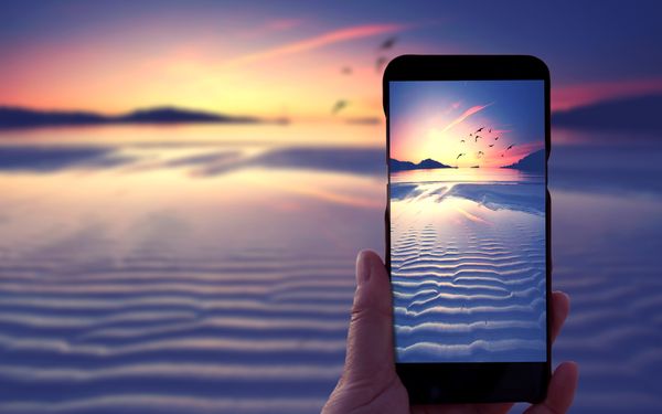 Capturing Beautiful Wildlife With your Smartphone