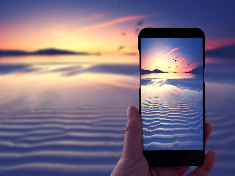 Capturing Beautiful Wildlife With your Smartphone