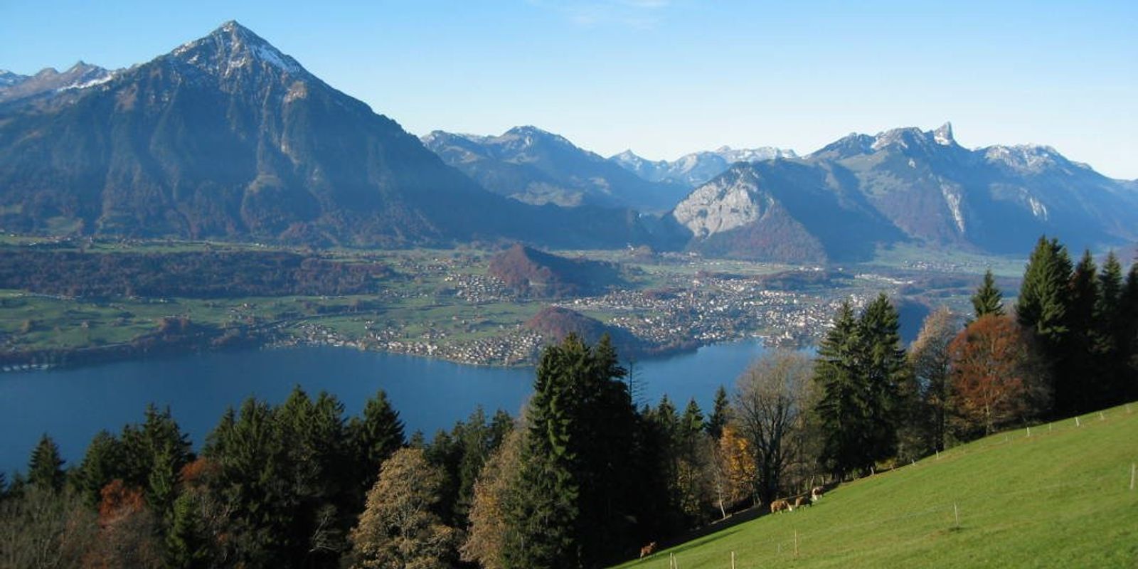 Easy walks near Interlaken (Switzerland) A lane above Beatenberg