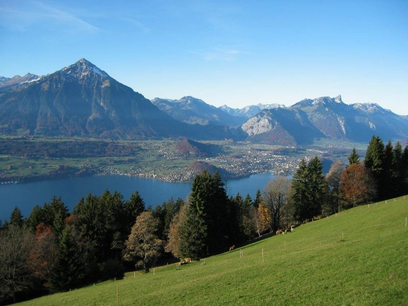 Easy walks near Interlaken (Switzerland) A lane above Beatenberg